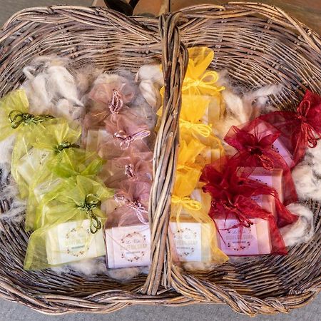스칸디치 Tenuta Le Viste B&B 외부 사진