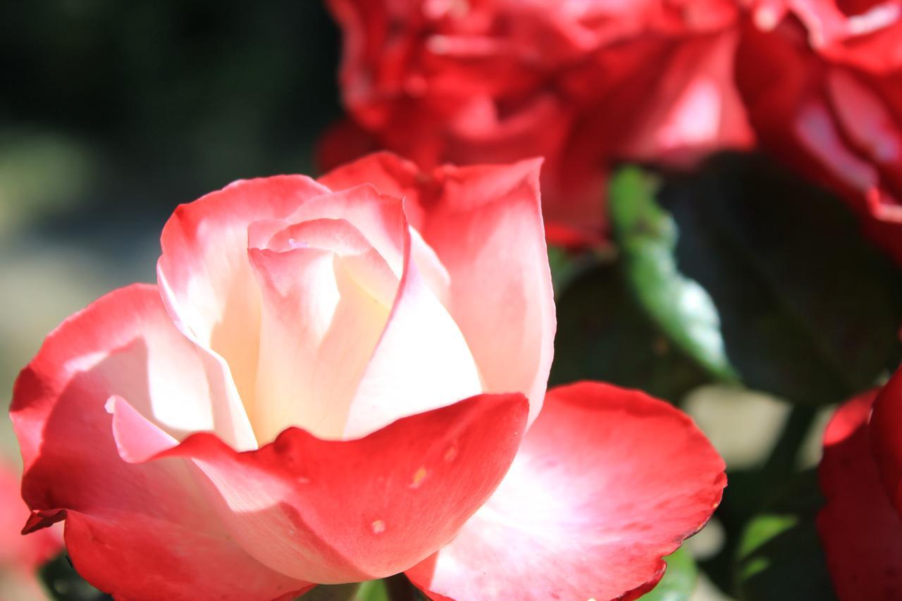 스칸디치 Tenuta Le Viste B&B 외부 사진